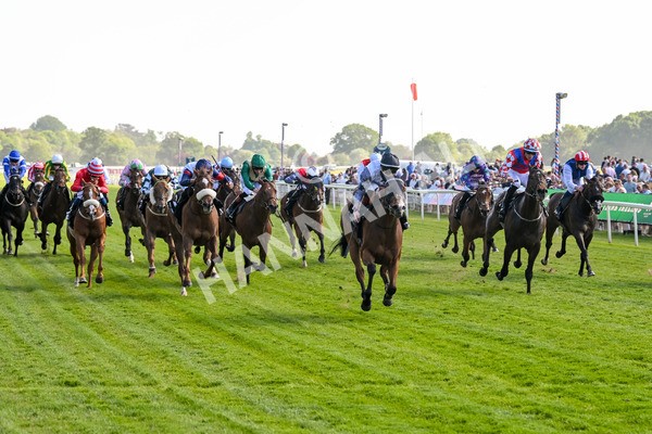 160525-Race 5-The Man-7010 - Race 5 4.15pm Irish Thoroughbred Marketing Handicap