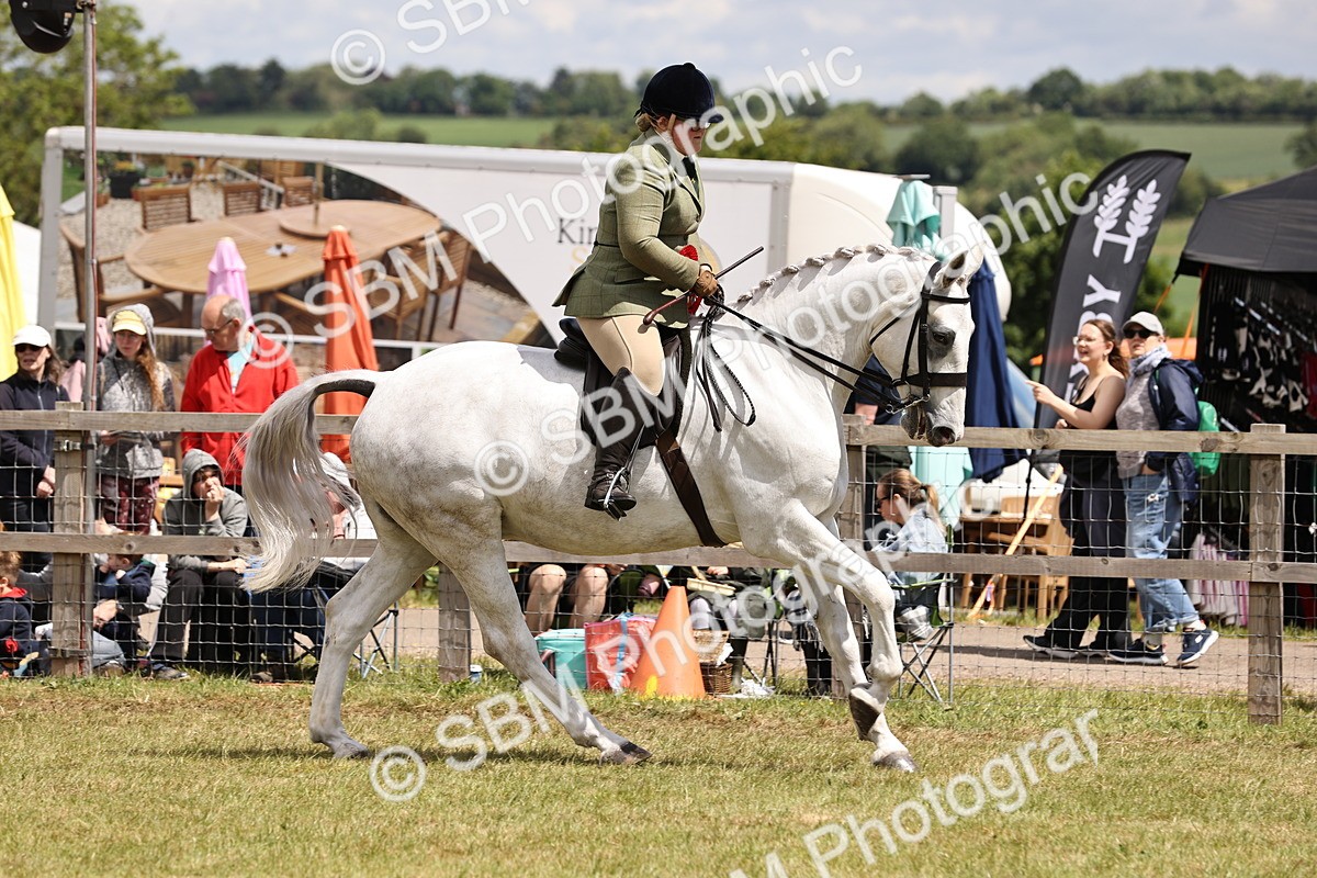 SBM_14794 - Class 88-89 - LIHS BSHA Rising Star of Ridden Hunter Type