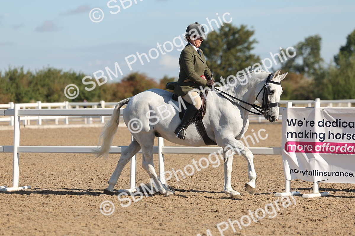 SBM_12263 - Class 303 - Ridden Pure Bred Horse Pony