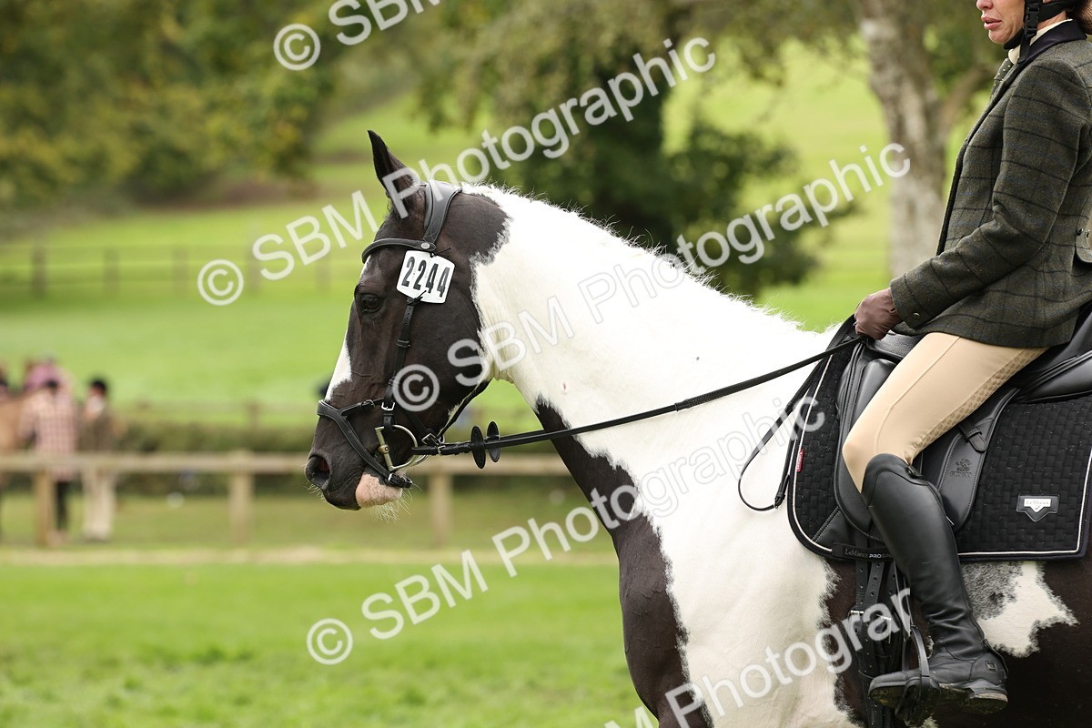 SBM_67287 - S67 - Piebald & Skewbald Horse Ridden