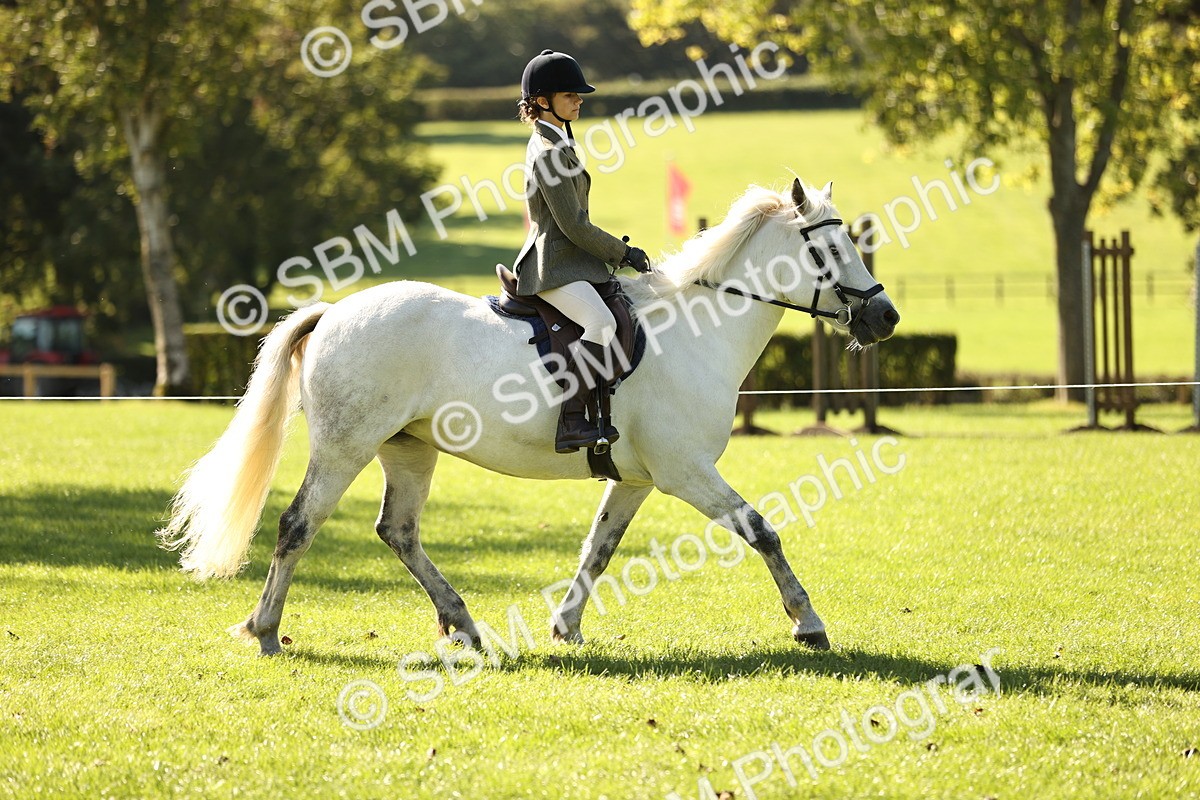 SBM_19110 - S3 - TSR Ridden Pony Showing