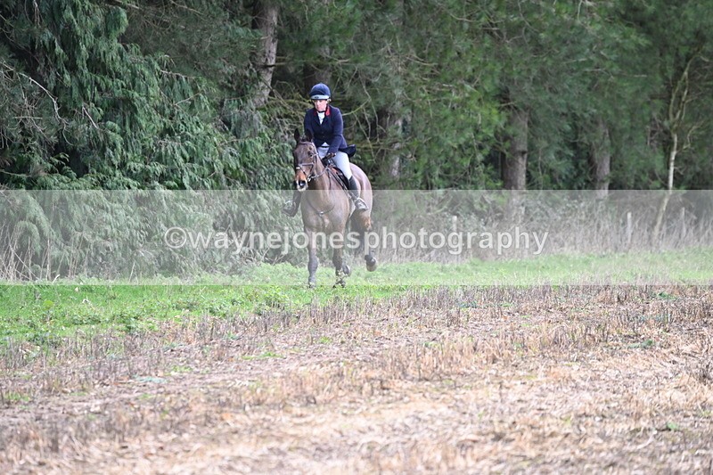 WJ6_9454 - Line Four