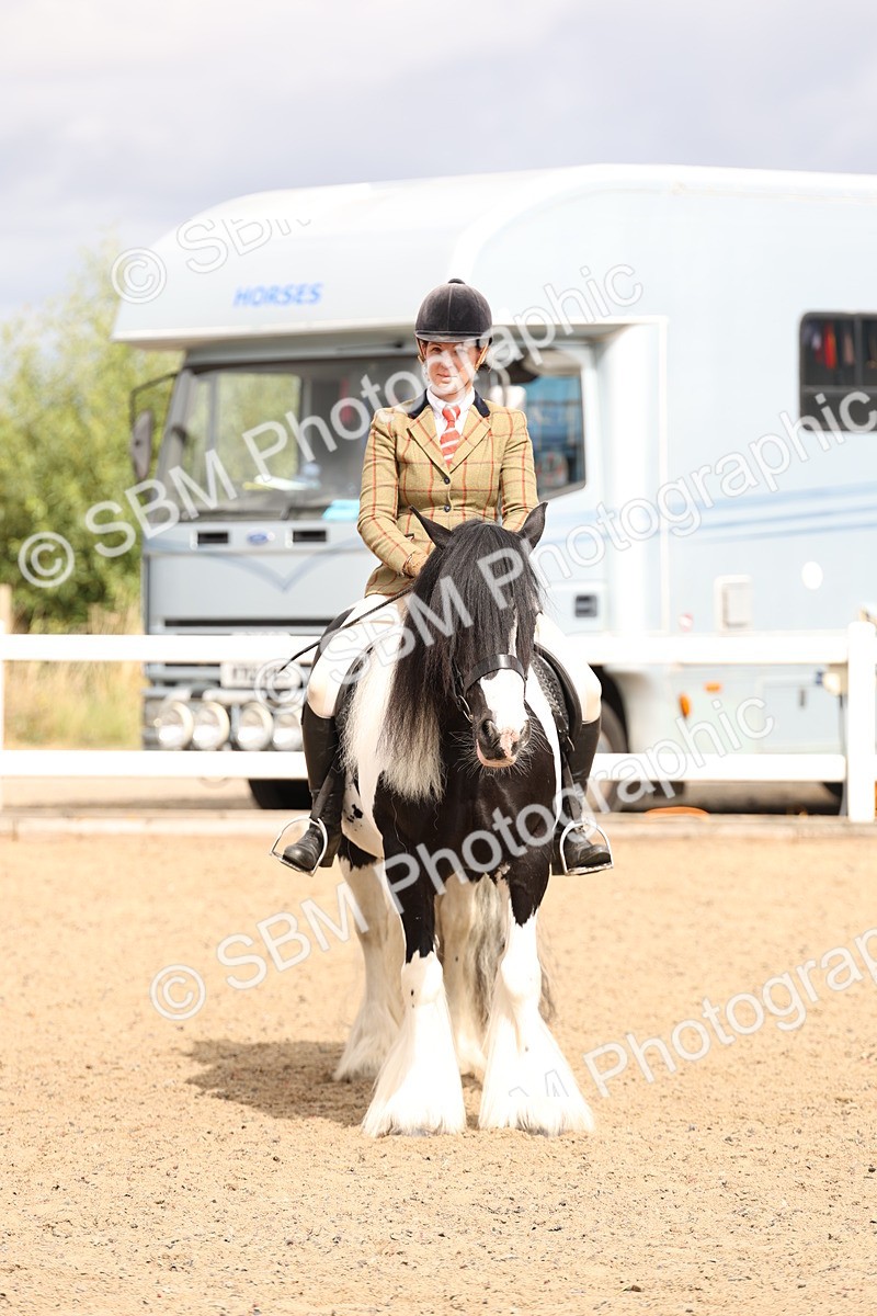 SBM_05167 - Class 56a -  Style & Performance - 50cm (15-19)