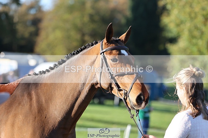 241027-090226-14985 - 328-Zara.Head-FOURFIELDS.LOVEHEART