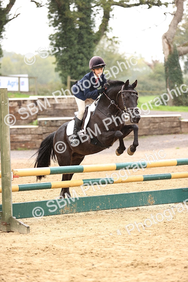SBM_69968 - Supreme Championship 80cm 85cm