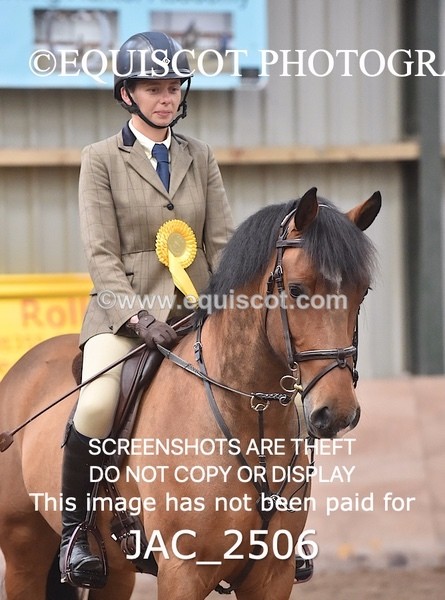 JAC_2506 - CLASS 3 Intermediate Working Hunter