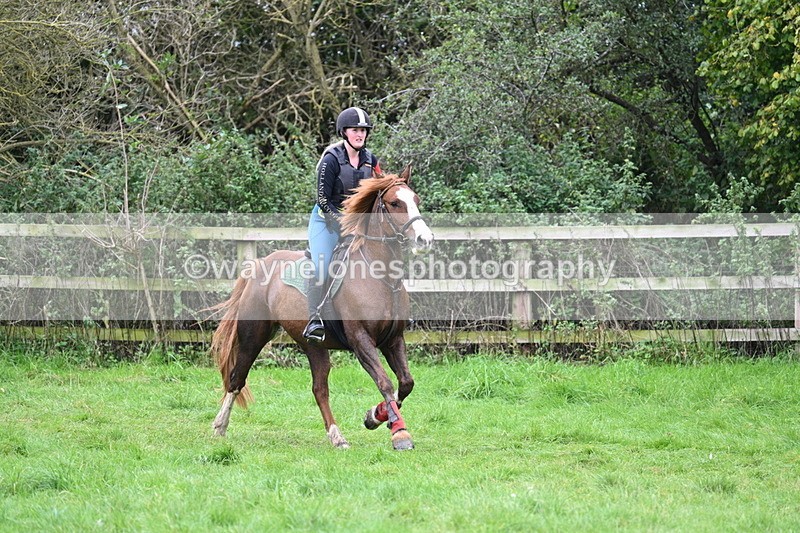 WJ7_0455 - Time at Photographer 11:49 to 12:17