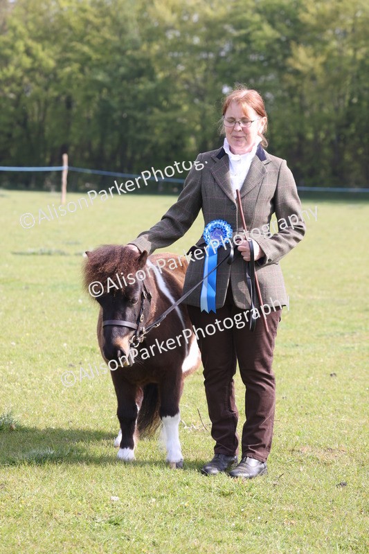 20260426-0707 - Class 23 - Youngstock