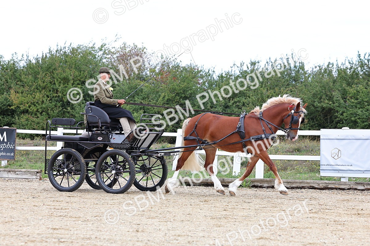 SBM_000404 - Class 4 - Junior Whip