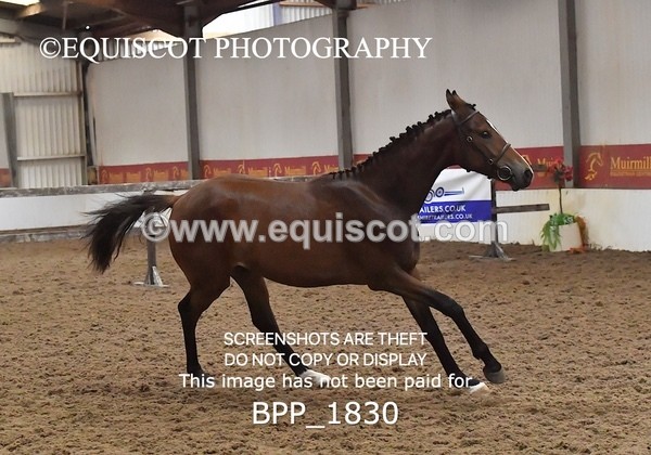 BPP_1830 - MORNING 9AM - 12PM