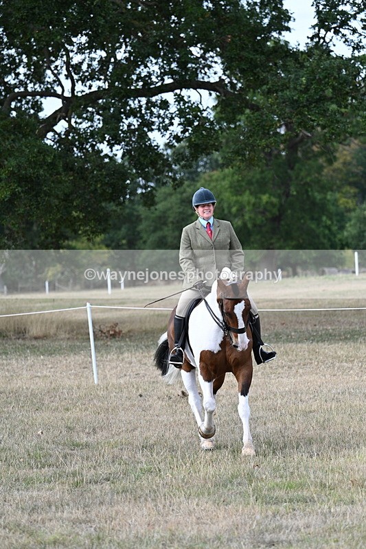 WJ7_7230 - Class 14 Ridden Coloured