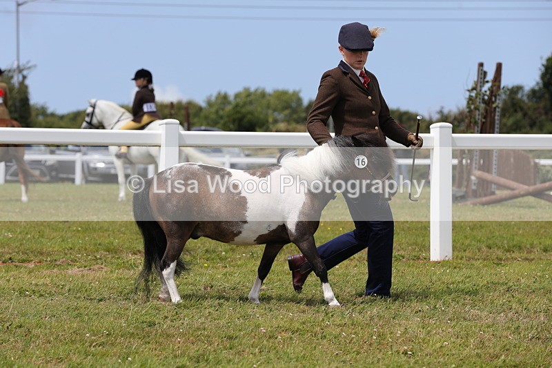 1X9A4783 - Class 35: Veteran In Hand