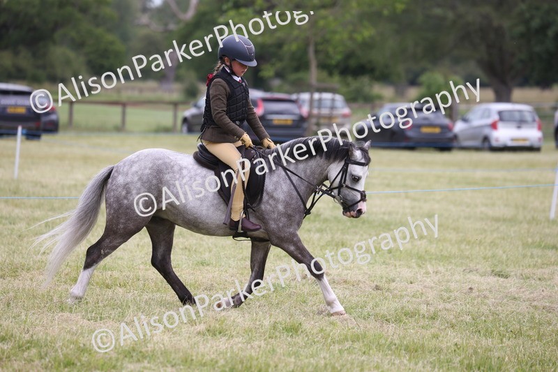 20260614-3148 - Class 22 - Open Working Hunter