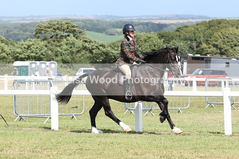 JPP_2469 - Class 19: Working Hunter 60cm