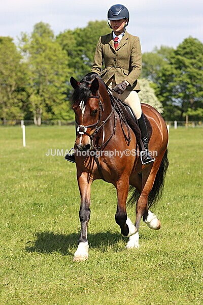 IMG_4371 - Working Hunter