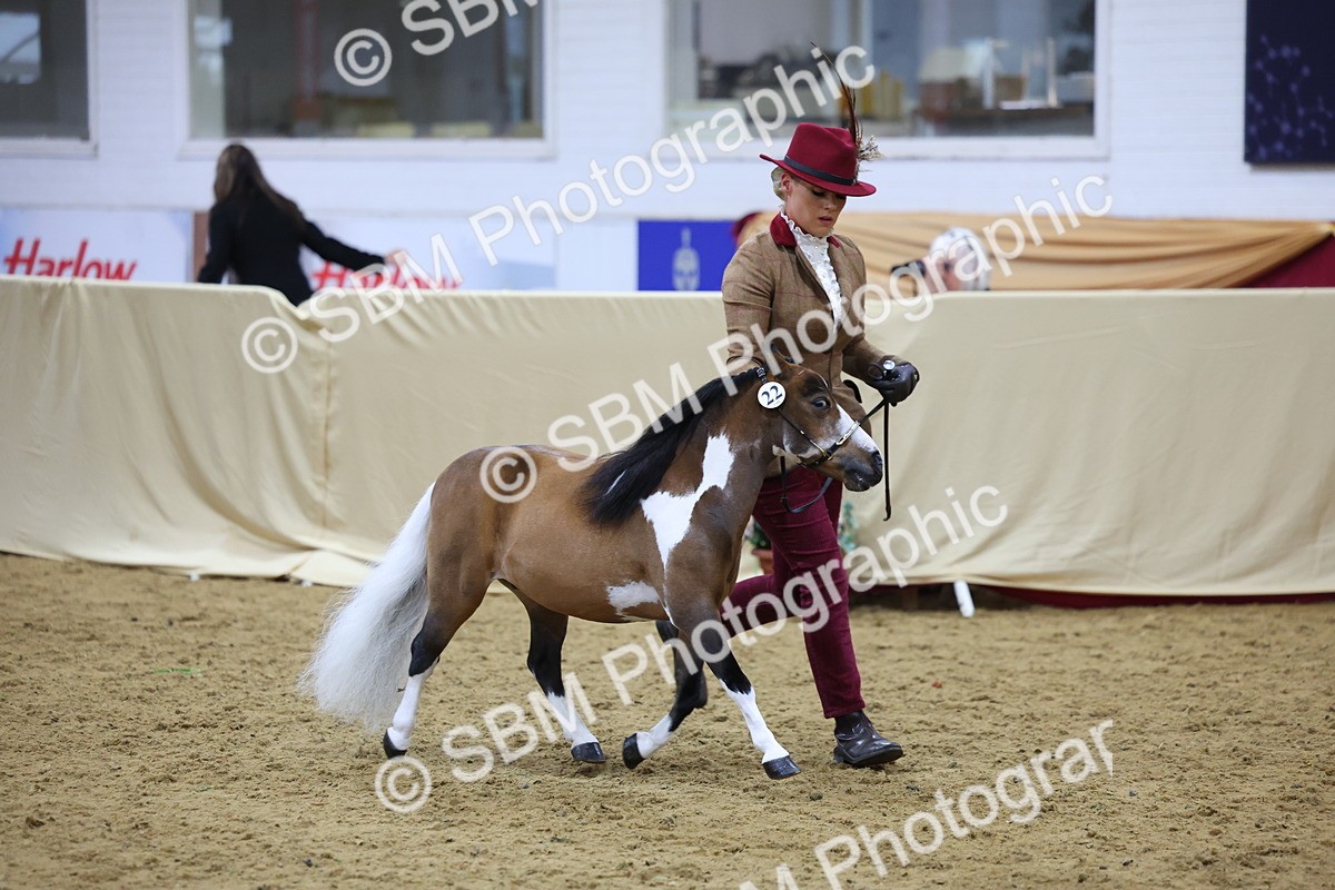 SBM_21036 - Class 902 - Supreme Final IH Veteran
