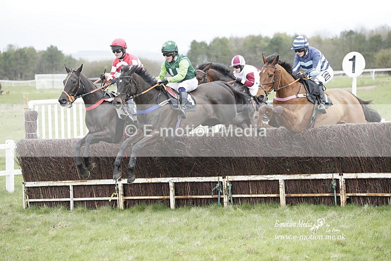 PtP 260323 0467 - New Forest Hounds Point-to-Point Larkhill 26/03/23