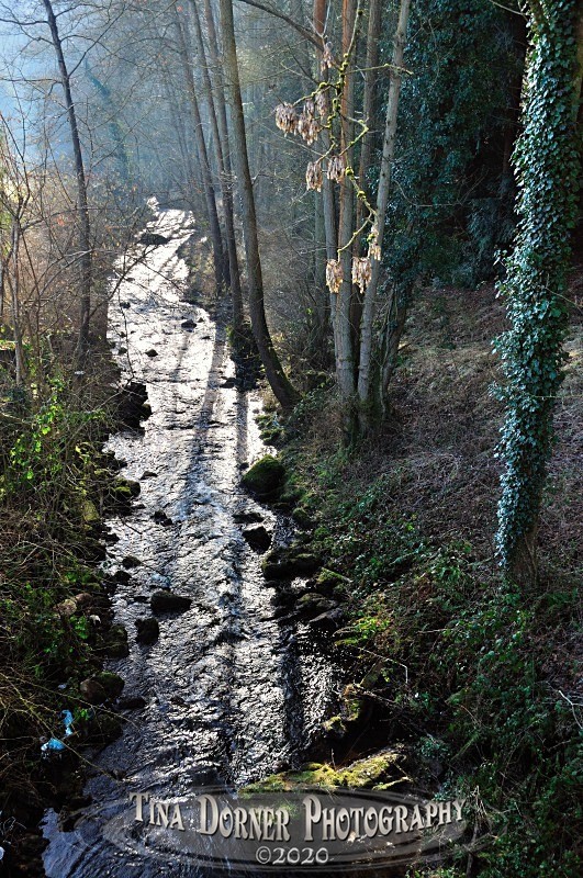 Straight Stream at Soudley by Tina Dorner Photography, Forest of Dean and Wye Valley, Gloucestershire