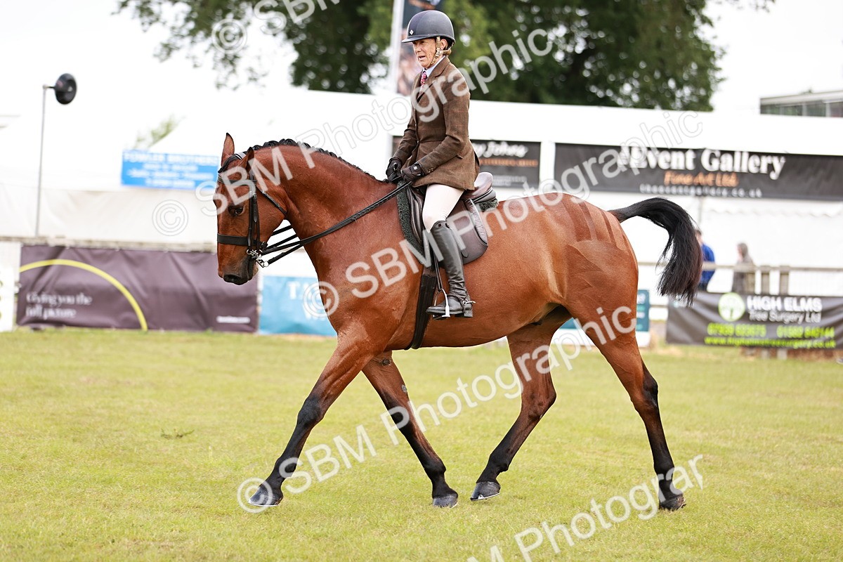 SBM_10771 - Class 81-84 - RIHS Ridden hunters Inc Ladies Hunter