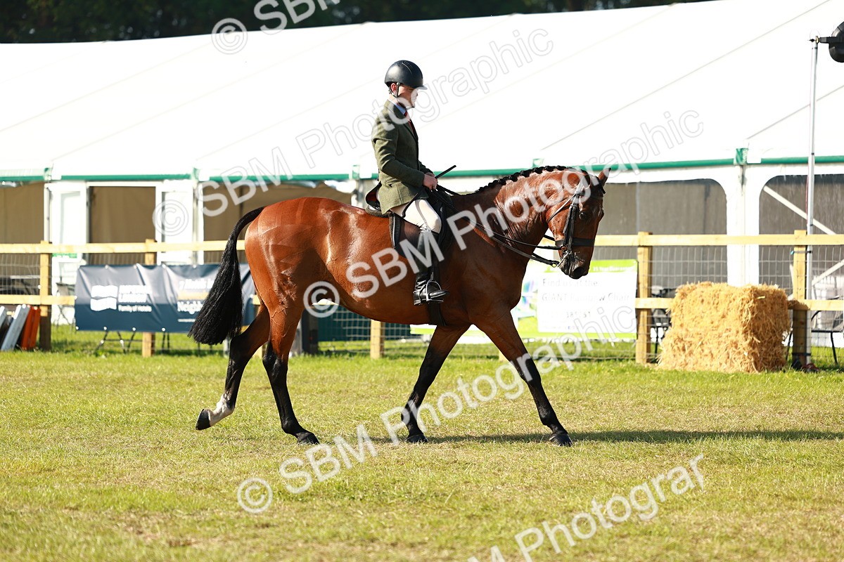 SBM_10825 - Class 66-69 - RIHS Ridden Hunters Inc Small Hunter