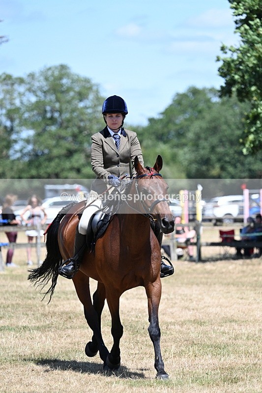 WJ7_3041 - Class 7 Riding Club Show Horse