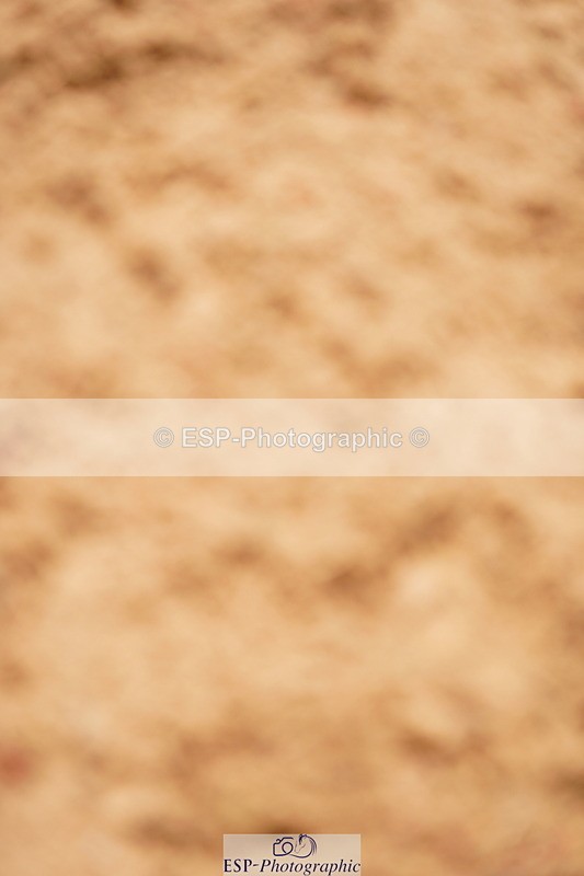 240526A-110402-07717 - Cls 26 Chard Equ 1.05m and 1.10m Grand Prix