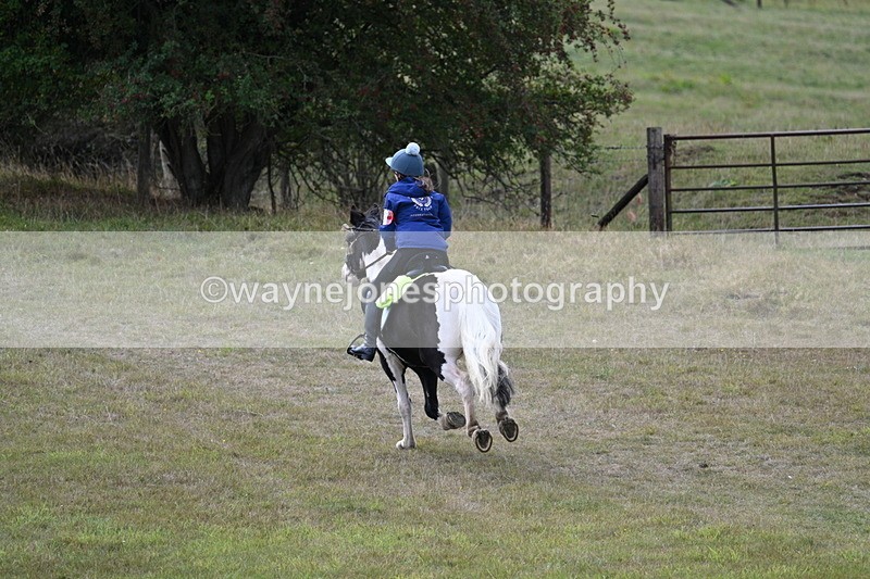 WJ7_5980 - Time 11:50 to 12:09