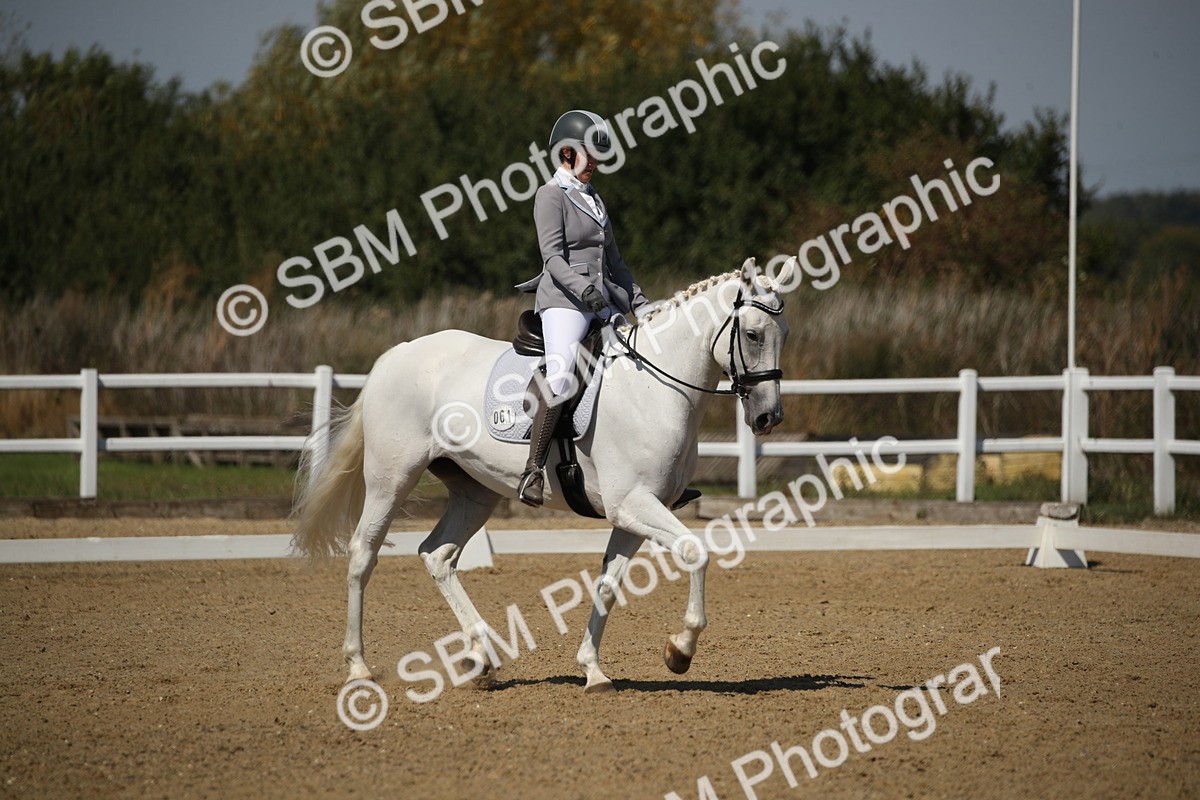 SBM_005058 - Class 11 - Novice 5 - 11.41-12.58