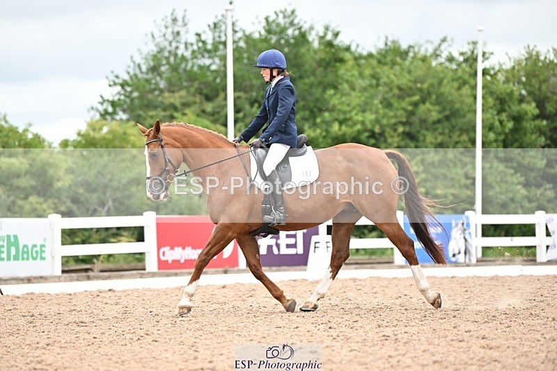 250705-175535-04233 - N2 Section BDNOV2 16.29 to 17.46