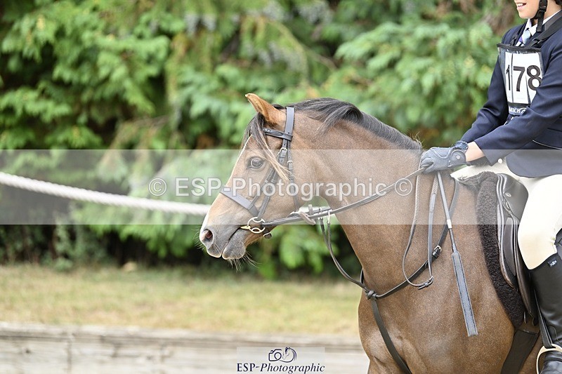 250820A-114112-03788 - Round 1, 11am to End