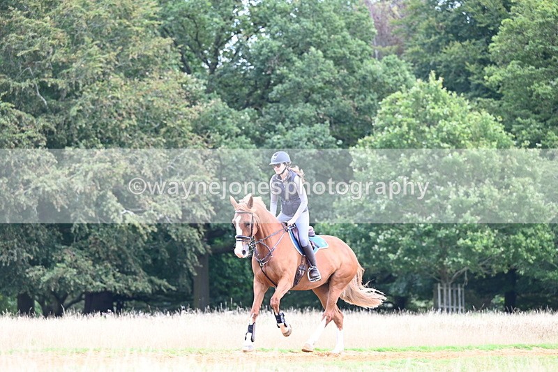 DSC_7089 - Time at Statue 12:45 to 13:15