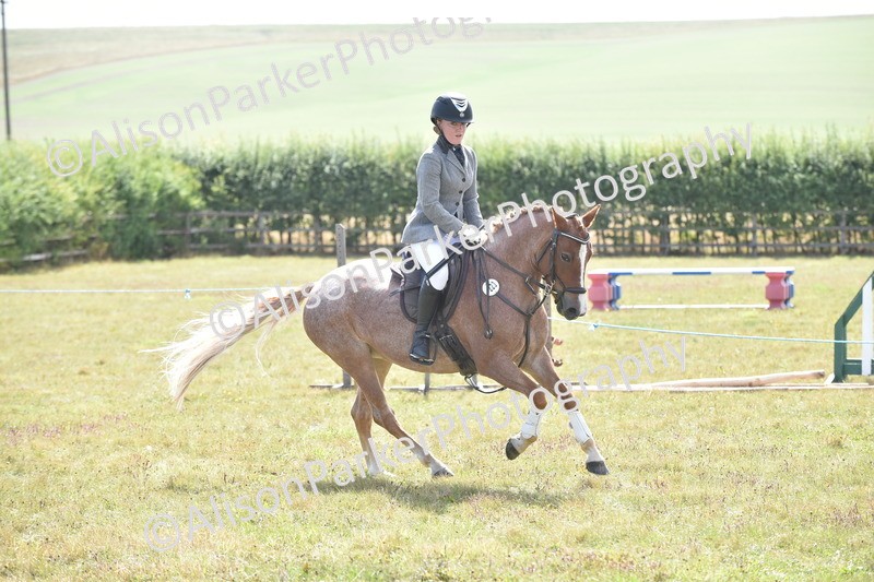 20250831-3999 - Class 12 - Working Hunter Pony 14.2hh and Under