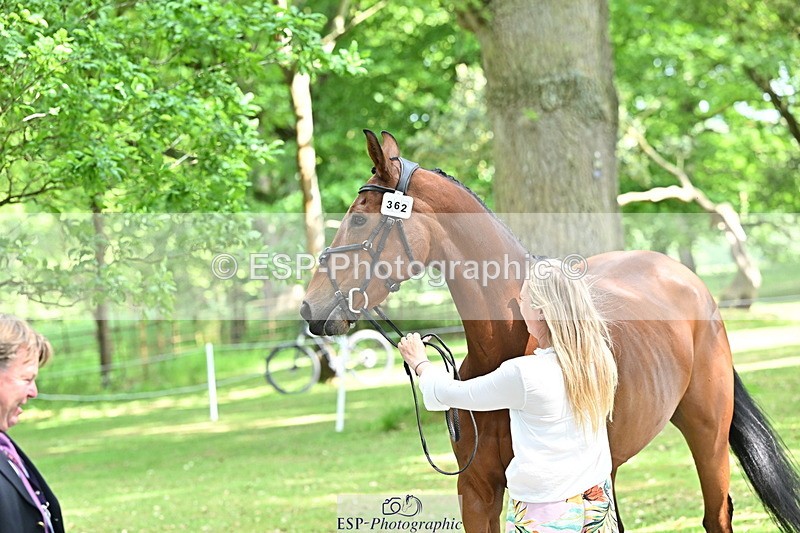 250521A-151755-00408 - B-362-Kat.Raybould-THE.ELLFIELD.DIKSTER