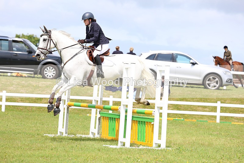 3E7A7384 - Class 13: Senior British Novice/90cm open