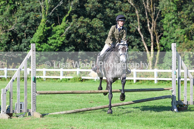 3E7A7758 - Class 2: Open Working Hunter pony