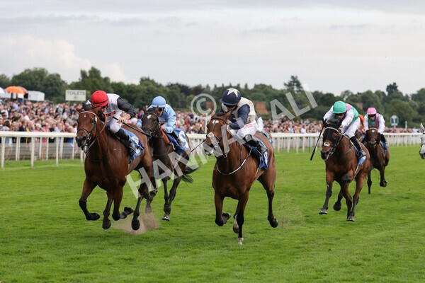 yr19082021r6-13 - Race 6 4.45pm British EBF & Sir Henry Cecil Galtres Stakes