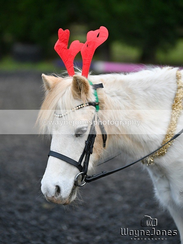 WJ5_3976 - Tanners Christmas Yard Fun 23-12-24