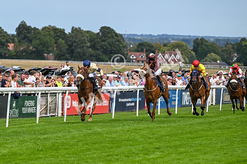 300826-Race 3-Pivotal Voyage-0151 - Race 3 2.50pm Churchill Tyres EBF Restricted Maiden Fillies' Stakes