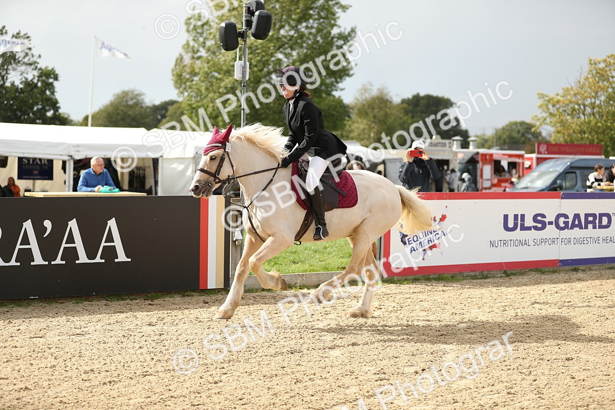 SBM_08962 - J30 - Senior Horse & Pony 70cm Championship