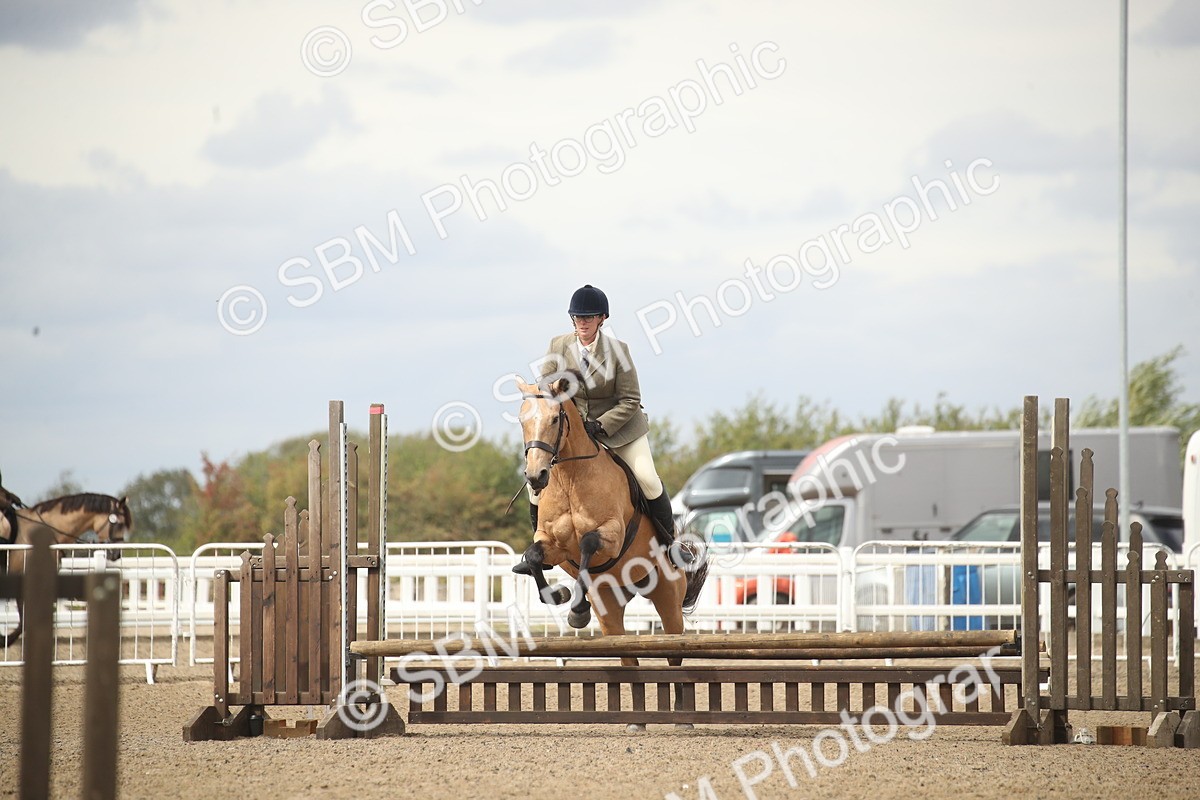 SBM_16594 - Class 507a - Working Veteran - 60cm (15-19)