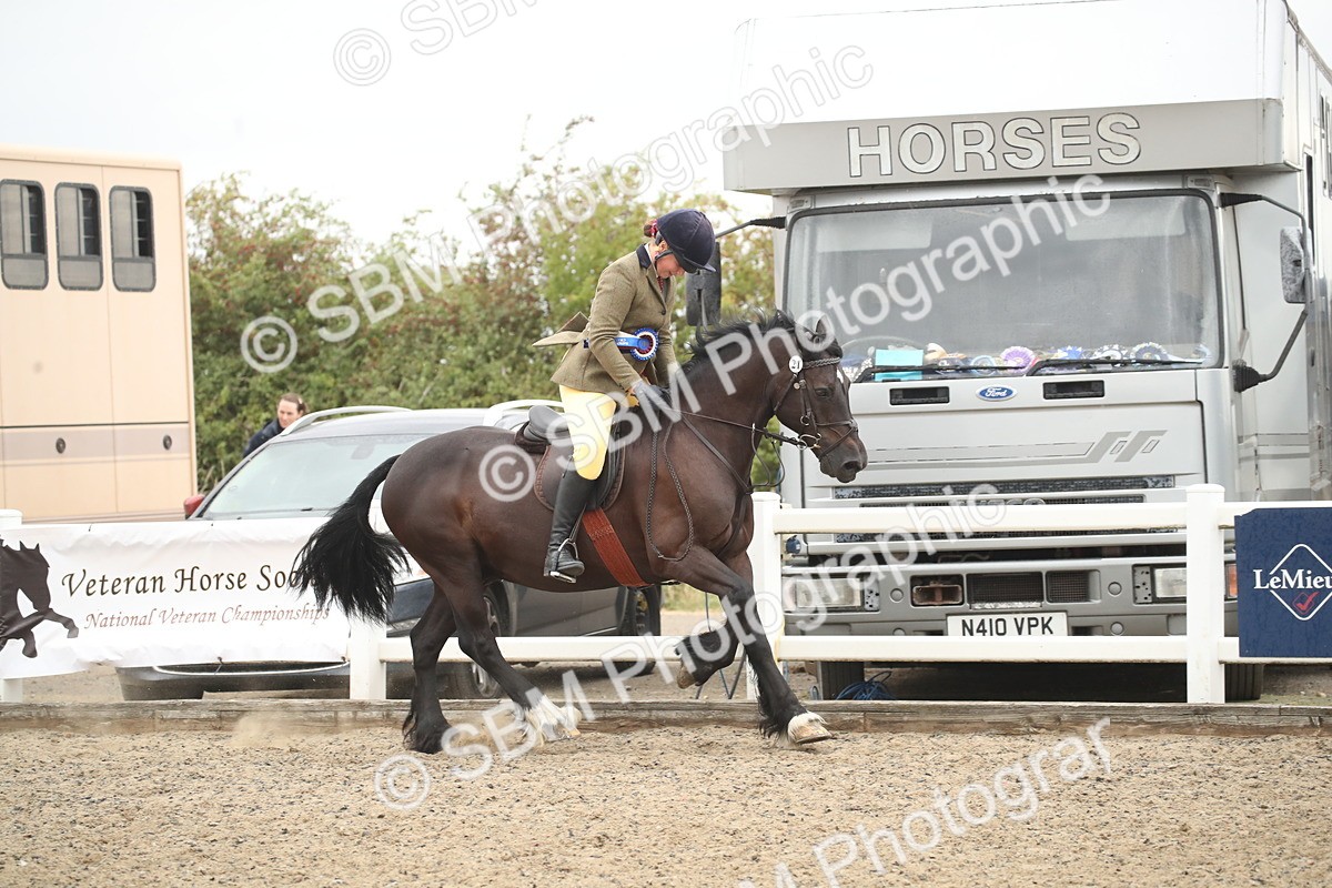 SBM_18429 - Class 509B - Working Veteran - 80cm (20+)