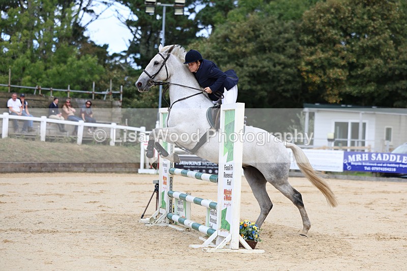3E7A2020 - Class 4: Senior British Novice/90cm open