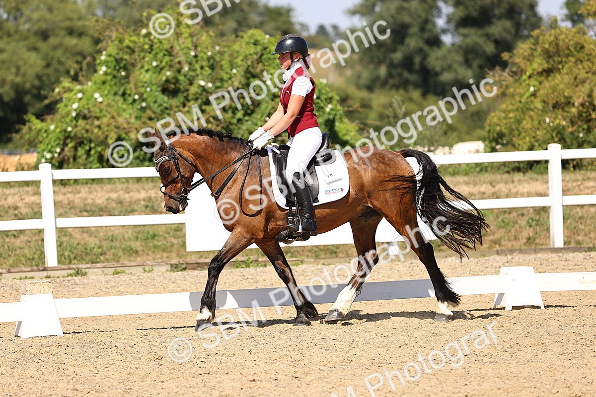 SBM_005590 - Elementary 4 Warm Up