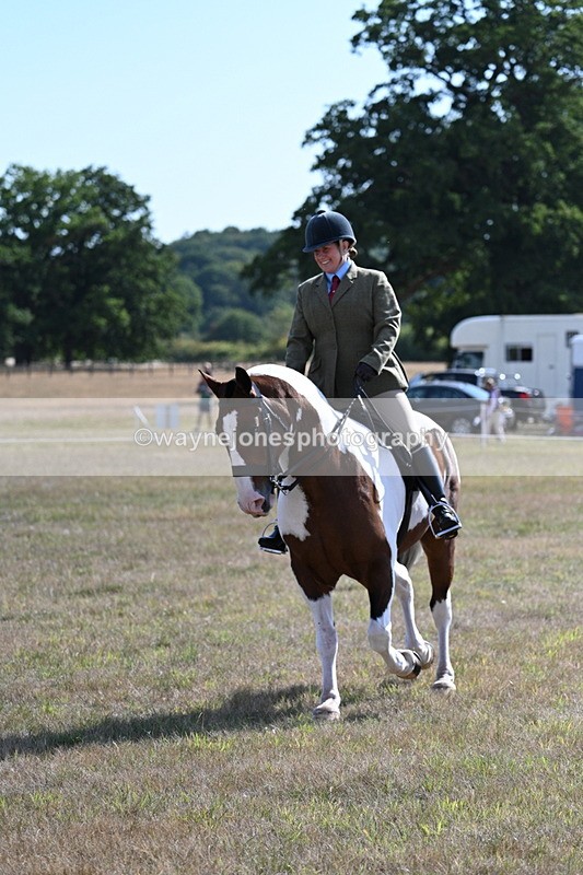 WJ7_2829 - Class 8 Ridden Tack & Turnout
