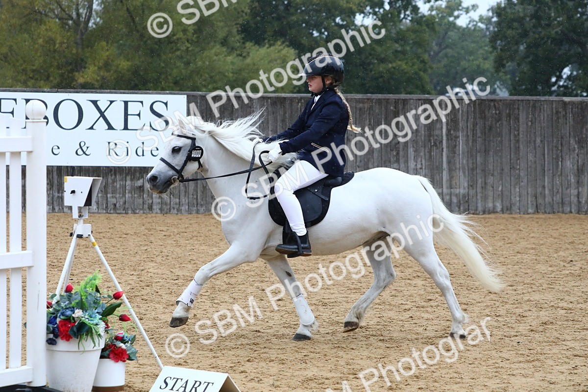 SBM_71442 - J4 - Mini Tour Junior Pony 45cm Championship