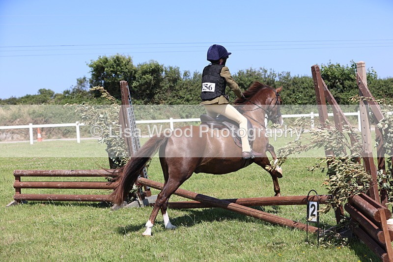JPP_2225 - Class 20: Tiny Tots Working Hunter Pony