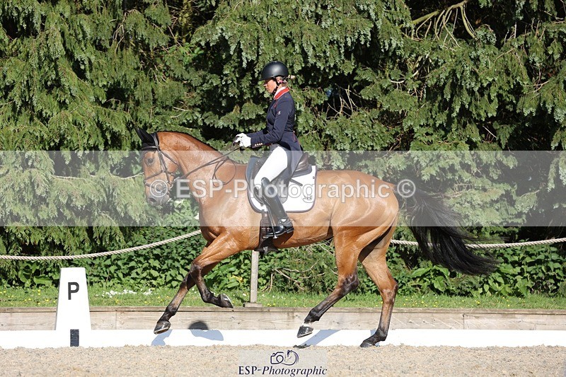 230526-175344-08057 - 182-HARTHILL_FLAMENCO-Izzy_Taylor-WEDTrotUp+DR