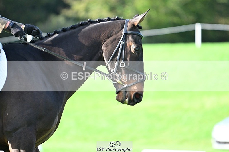 241025-095011-05875 - 444-Tatiana.Wharton-NO.TOMMY.NO