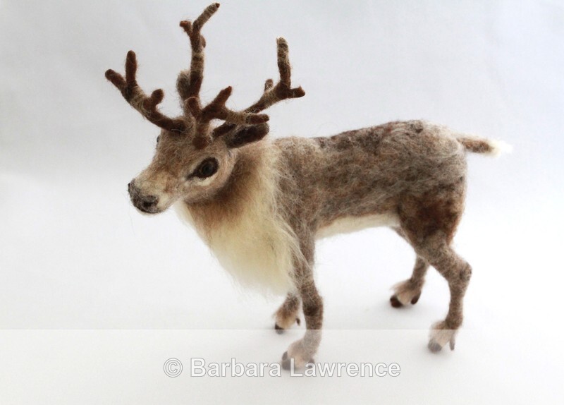 Reindeer - Gallery