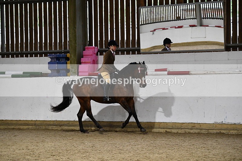 WJ5_8792 - Class 15 Ridden Show Horse